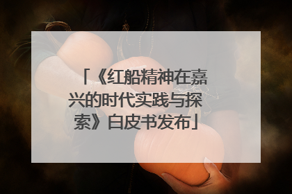 《红船精神在嘉兴的时代实践与探索》白皮书发布