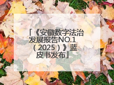 《安徽数字法治发展报告NO.1（2025）》蓝皮书发布