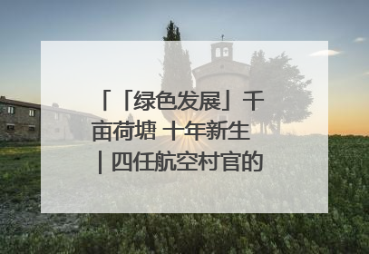 「绿色发展」千亩荷塘 十年新生｜四任航空村官的“生态接力”
