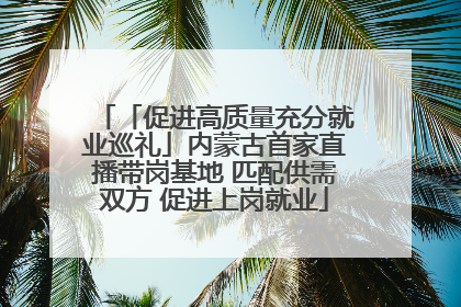 「促进高质量充分就业巡礼」内蒙古首家直播带岗基地 匹配供需双方 促进上岗就业
