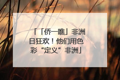 「侨一瞧」非洲日狂欢！他们用色彩“定义”非洲