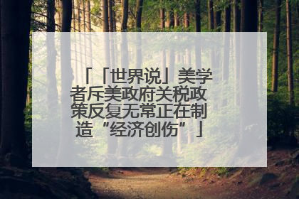 「世界说」美学者斥美政府关税政策反复无常正在制造“经济创伤”