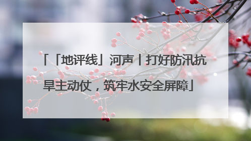 「地评线」河声丨打好防汛抗旱主动仗，筑牢水安全屏障