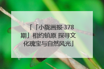 「小陇画报·378期」相约镇原 探寻文化瑰宝与自然风光