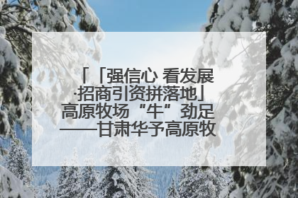「强信心 看发展·招商引资拼落地」高原牧场“牛”劲足——甘肃华予高原牧场高标准奶牛肉牛养殖项目一线见闻