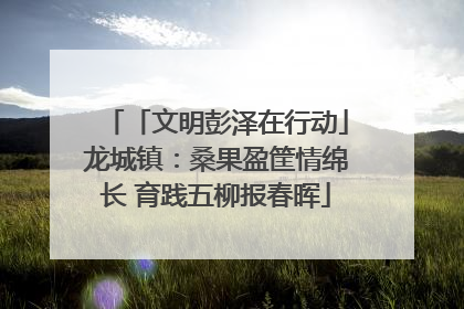 「文明彭泽在行动」龙城镇：桑果盈筐情绵长 育践五柳报春晖