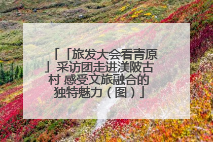 「旅发大会看青原」采访团走进渼陂古村 感受文旅融合的独特魅力（图）