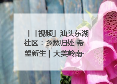 「视频」汕头东湖社区：乡愁归处 希望新生｜大美岭南·百村焕新记