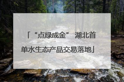 “点绿成金” 湖北首单水生态产品交易落地
