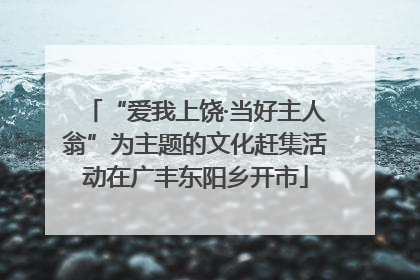 “爱我上饶·当好主人翁”为主题的文化赶集活动在广丰东阳乡开市