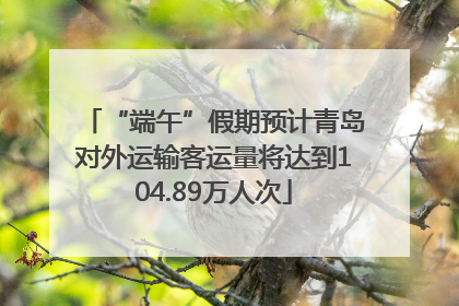 “端午”假期预计青岛对外运输客运量将达到104.89万人次