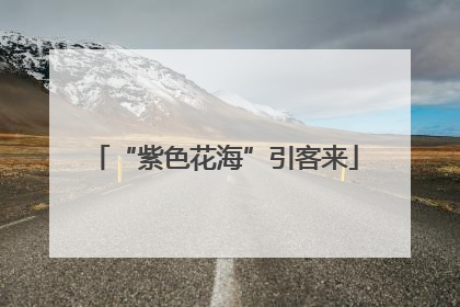 “紫色花海”引客来
