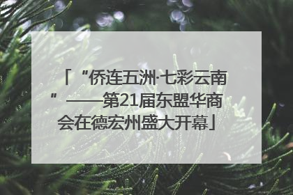 “侨连五洲·七彩云南”——第21届东盟华商会在德宏州盛大开幕