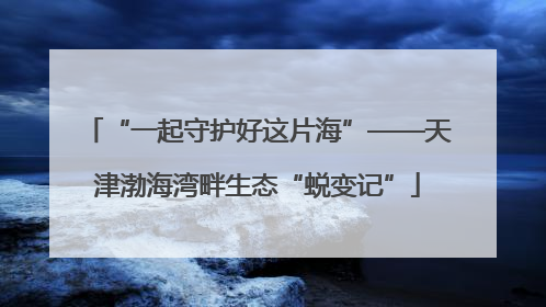 “一起守护好这片海”——天津渤海湾畔生态“蜕变记”