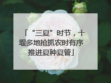 “三夏”时节，十堰多地抢抓农时有序推进夏种夏管