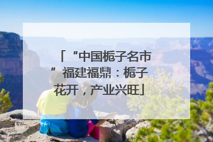 “中国栀子名市”福建福鼎：栀子花开，产业兴旺