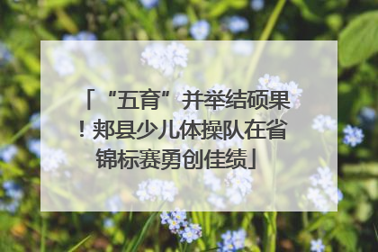 “五育”并举结硕果！郏县少儿体操队在省锦标赛勇创佳绩