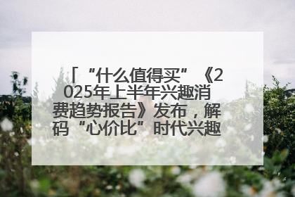 “什么值得买”《2025年上半年兴趣消费趋势报告》发布，解码“心价比”时代兴趣消费新范式