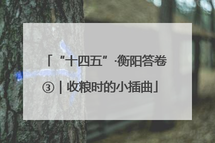 “十四五”·衡阳答卷③｜收粮时的小插曲