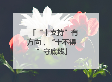 “十支持”有方向，“十不得”守底线