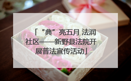 “典”亮五月 法润社区——新野县法院开展普法宣传活动