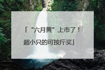 “六月黄”上市了！超小只的可按斤买