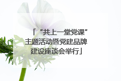 “共上一堂党课”主题活动暨党建品牌建设座谈会举行