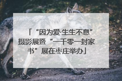 “因为爱·生生不息”摄影展暨“一千零一封家书”展在枣庄举办