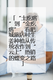“土疙瘩”到“金疙瘩”，看肥城旅店村生姜种植从传统农作到“云上”热销的蝶变之路