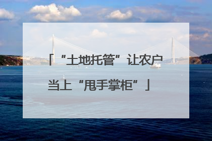 “土地托管”让农户当上“甩手掌柜”