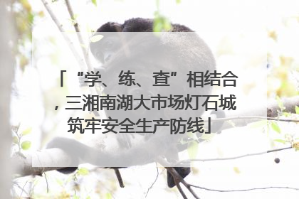 “学、练、查”相结合，三湘南湖大市场灯石城筑牢安全生产防线