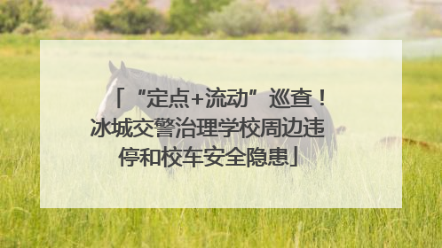 “定点+流动”巡查！冰城交警治理学校周边违停和校车安全隐患