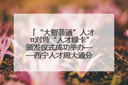 “大智荟通”人才π对暨“人才绿卡”颁发仪式成功举办——西宁人才周大通分会场亮点纷呈