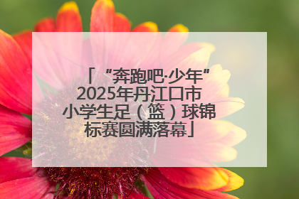 “奔跑吧·少年”2025年丹江口市小学生足（篮）球锦标赛圆满落幕