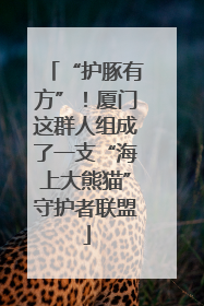 “护豚有方”！厦门这群人组成了一支“海上大熊猫”守护者联盟