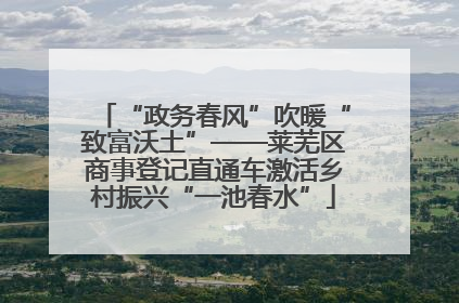 “政务春风”吹暖“致富沃土”——莱芜区商事登记直通车激活乡村振兴“一池春水”