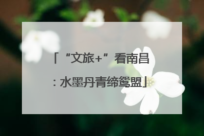 “文旅+”看南昌：水墨丹青缔鸳盟