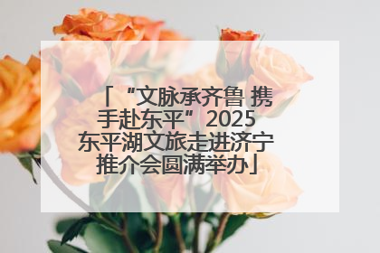 “文脉承齐鲁 携手赴东平”2025东平湖文旅走进济宁推介会圆满举办