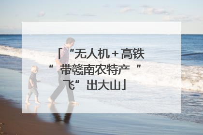 “无人机＋高铁”带赣南农特产“飞”出大山