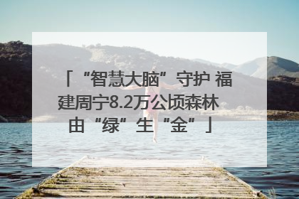 “智慧大脑”守护 福建周宁8.2万公顷森林由“绿”生“金”