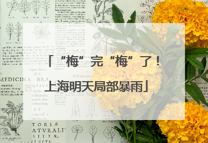 “梅”完“梅”了！上海明天局部暴雨