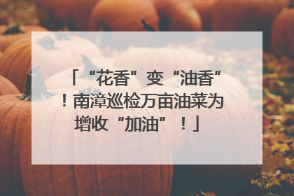 “花香”变“油香”！南漳巡检万亩油菜为增收“加油”！