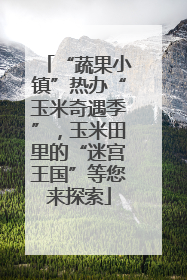 “蔬果小镇”热办“玉米奇遇季”，玉米田里的“迷宫王国”等您来探索