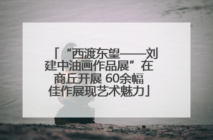 “西渡东望——刘建中油画作品展”在商丘开展 60余幅佳作展现艺术魅力