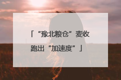“豫北粮仓”麦收跑出“加速度”