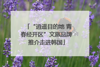 “逍遥目的地 青春经开区”文旅品牌推介走进韩国