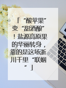 “酸苹果”变“甜酒酿”！盐源高原果的华丽转身，靠的是这场浙川千里“联姻”