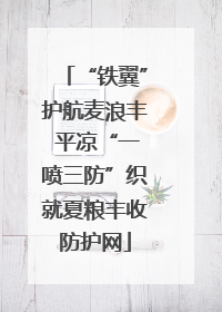“铁翼”护航麦浪丰 平凉“一喷三防”织就夏粮丰收防护网