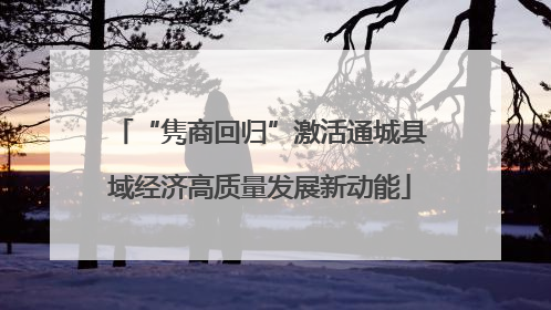“隽商回归”激活通城县域经济高质量发展新动能