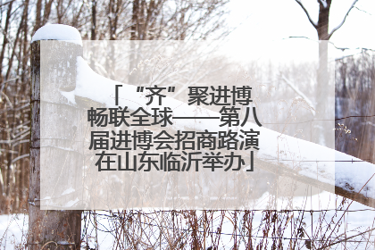 “齐”聚进博 畅联全球——第八届进博会招商路演在山东临沂举办